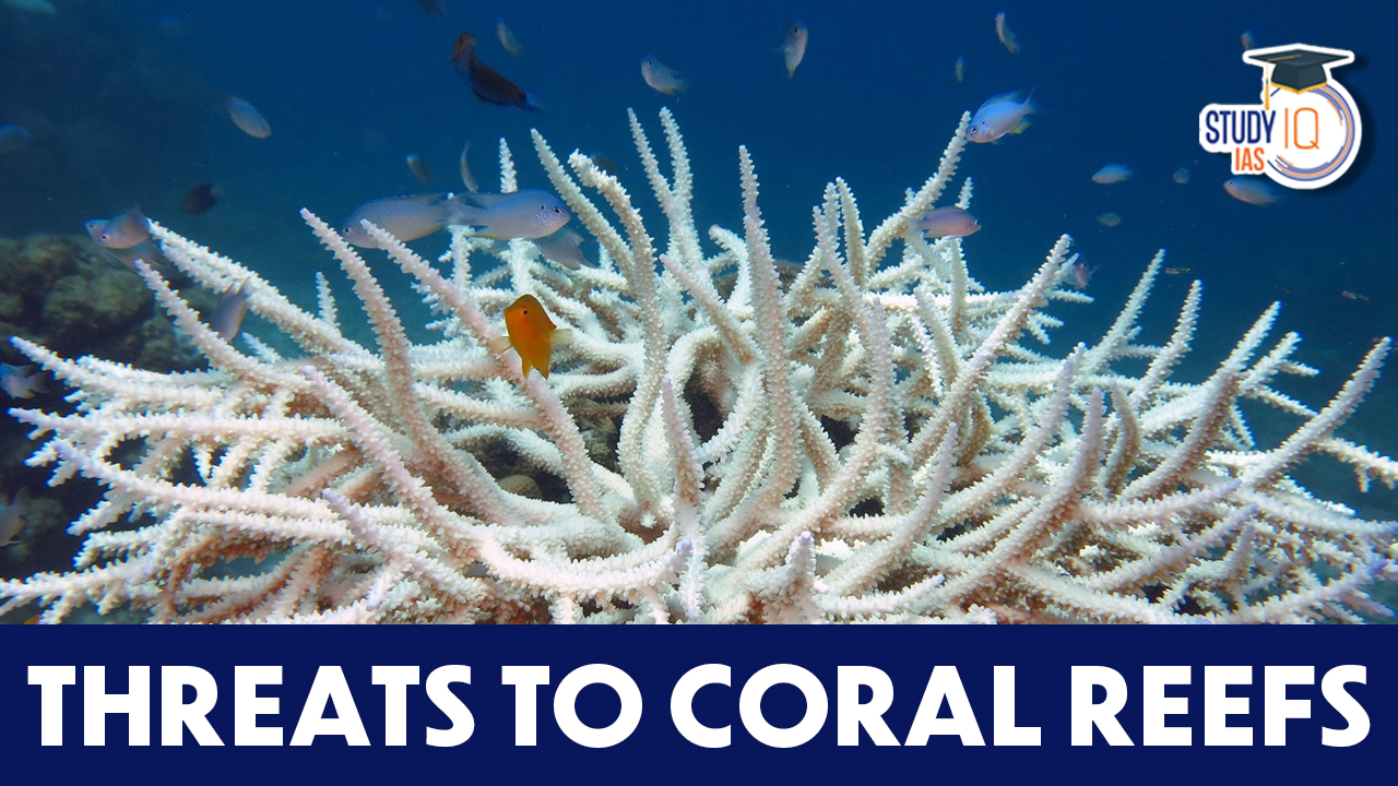 Threats to Coral Reefs