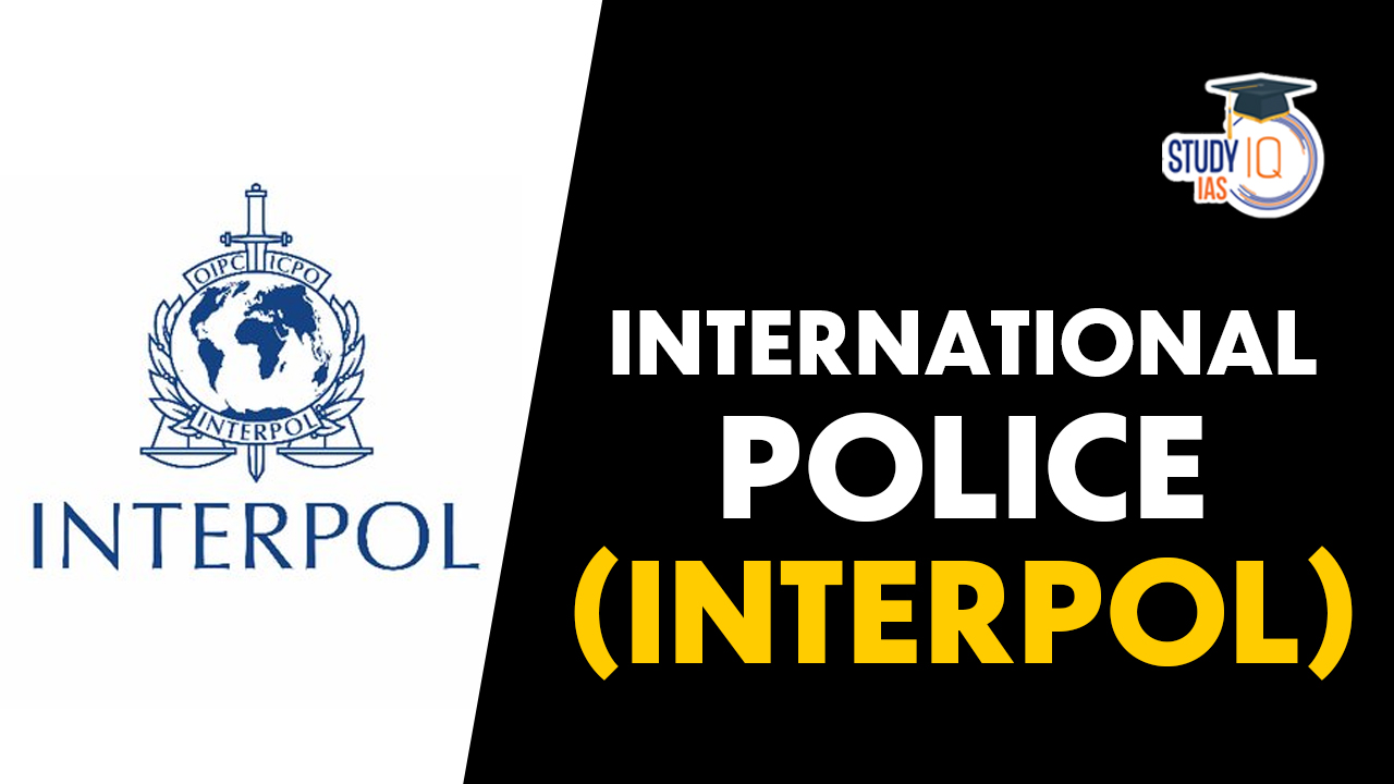 International Police (INTERPOL)