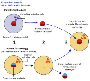 Biology - Extra Study Material_9.1