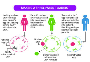 Biology - Extra Study Material_8.1