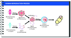 Biology - Extra Study Material_13.1