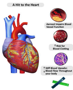 Biology - Extra Study Material_16.1