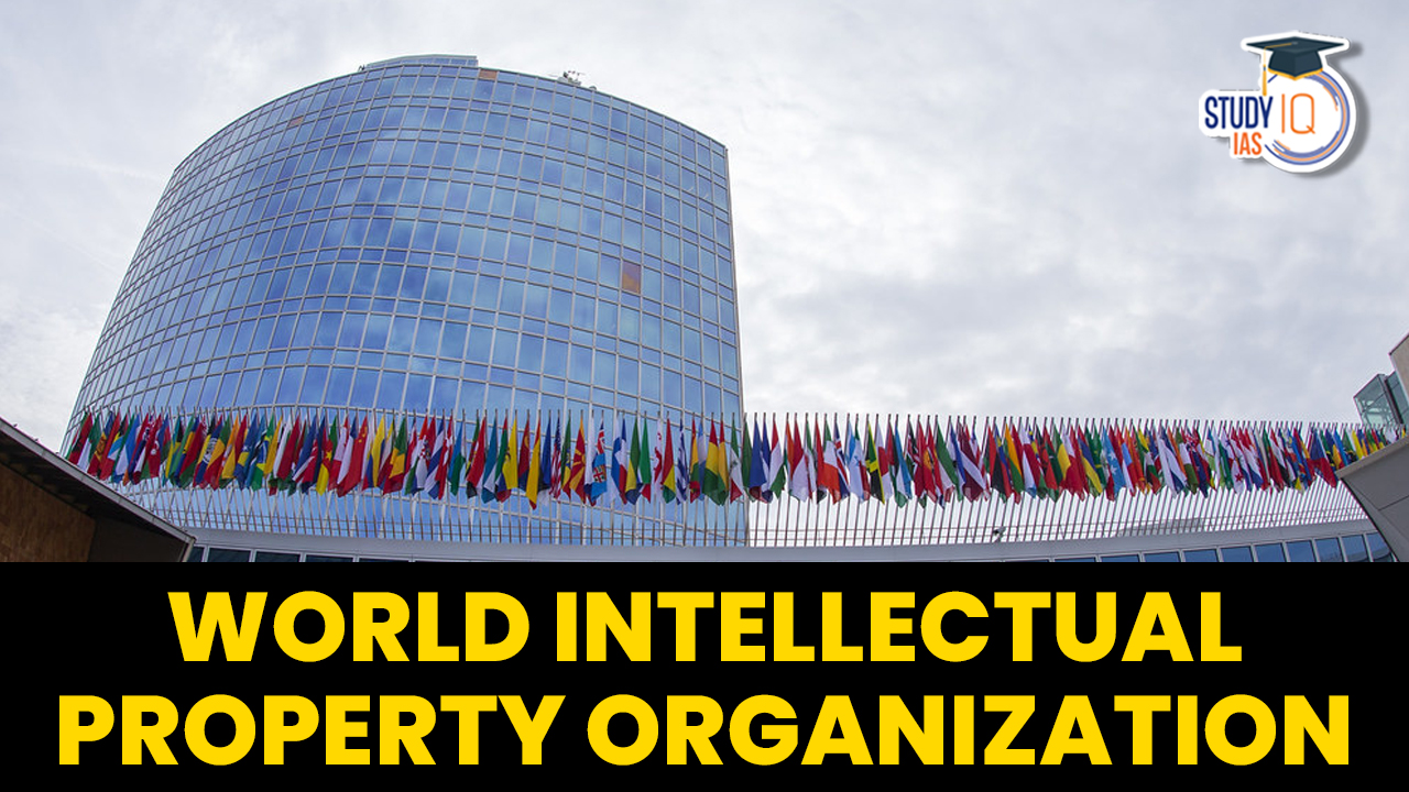 World Intellectual Property Organization