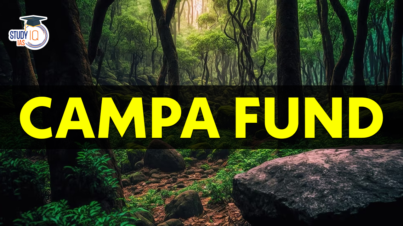 CAMPA Fund