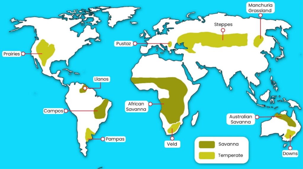 grass lands map