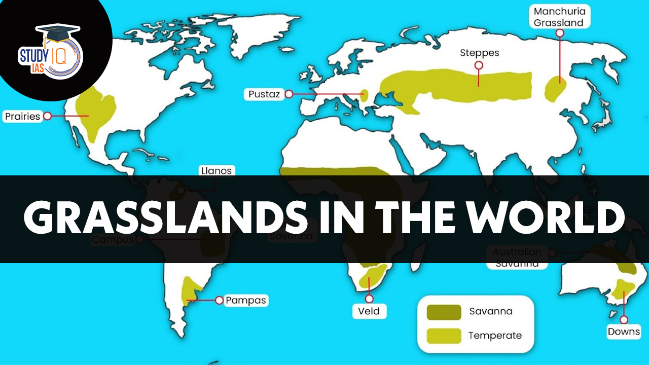 Grasslands in the World