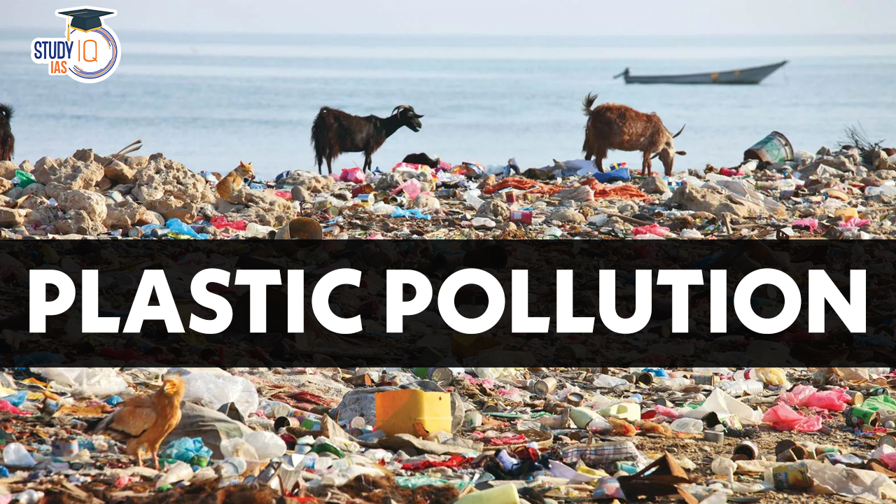 Plastic Pollution