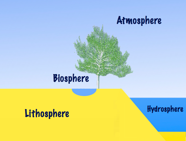 Ecology, Components, Levels of Organisation, and Principles_5.1