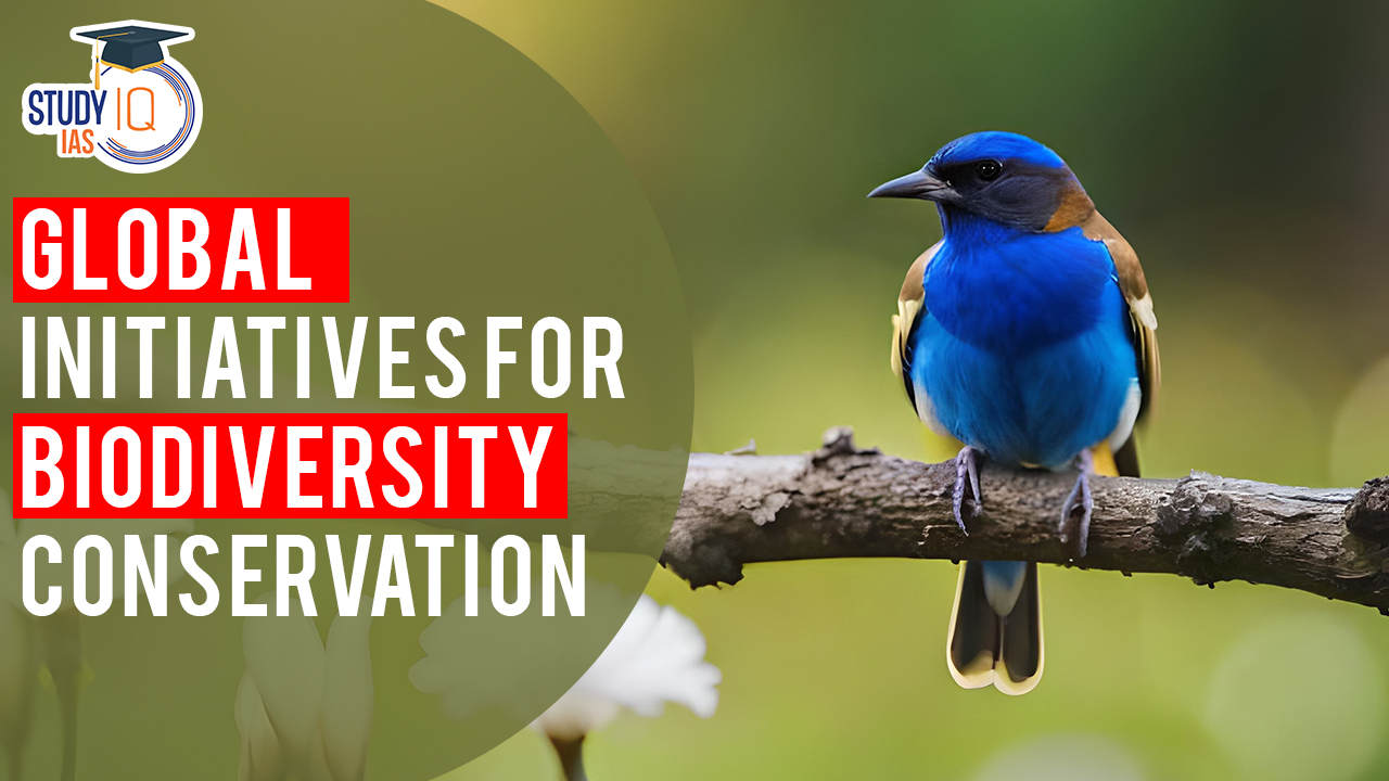 Global Initiatives for Biodiversity Conservation