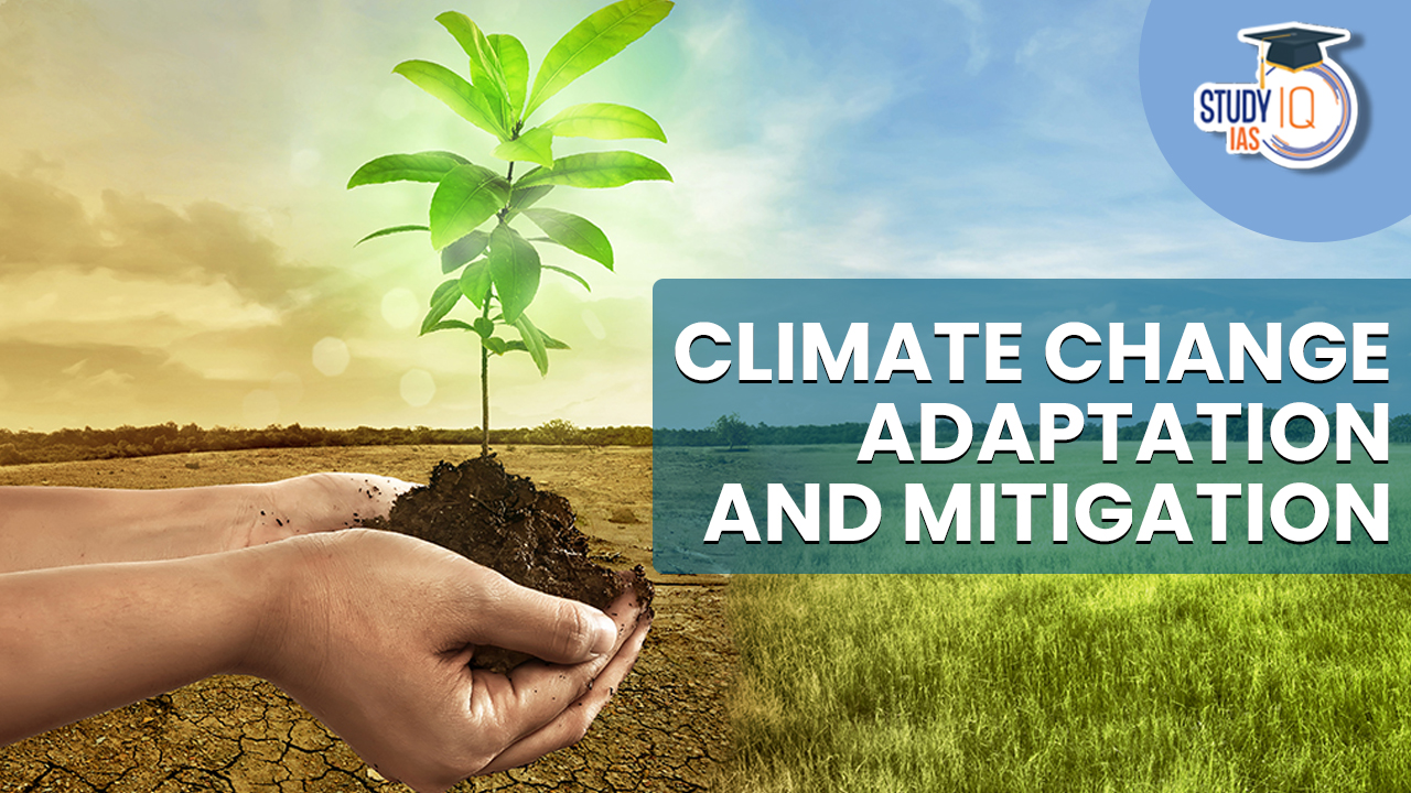 Climate Change Adaptation and Mitigation