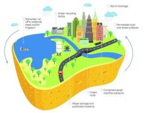 Urban Flooding in India, Causes, Impact, Examples_4.1