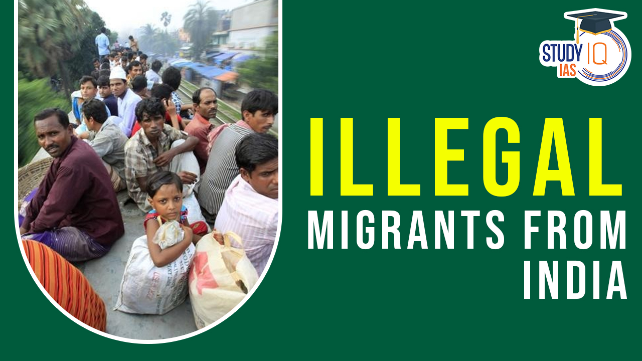 Illegal Migrants from India (1)