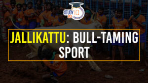  Jallikattu Festival 2025: Bull-Taming Sport in Tamilnadu