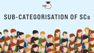 Sub-Categorization of SCs, Background and Recent Supreme Court Verdict