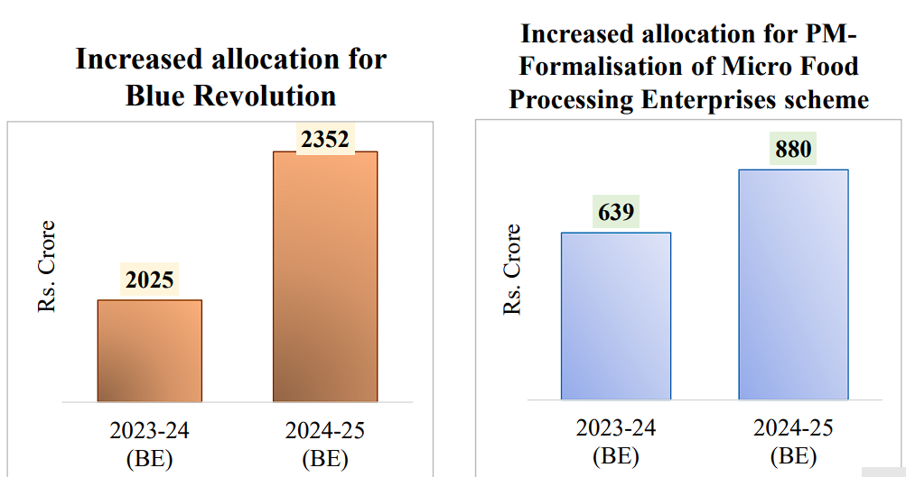 Highlights of the Interim Budget 2024-25 and Schemes_7.1