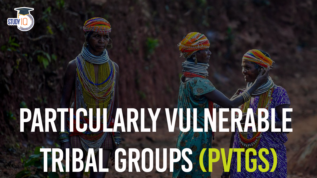 Particularly Vulnerable Tribal Groups (PVTGs)