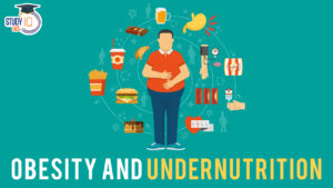 Obesity and Undernutrition, Parameters, Causes, Socio-economic Factors