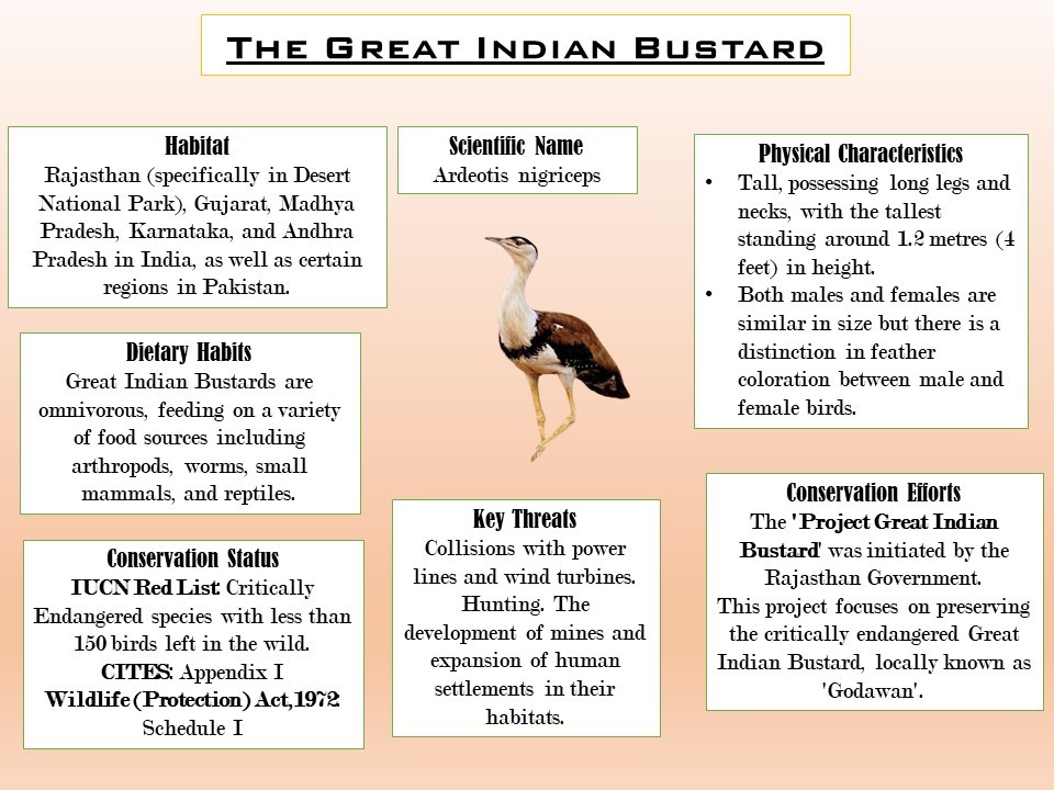 Editorial of the day (18th Apr): Great Indian Bustard and Climate Action Verdict_4.1