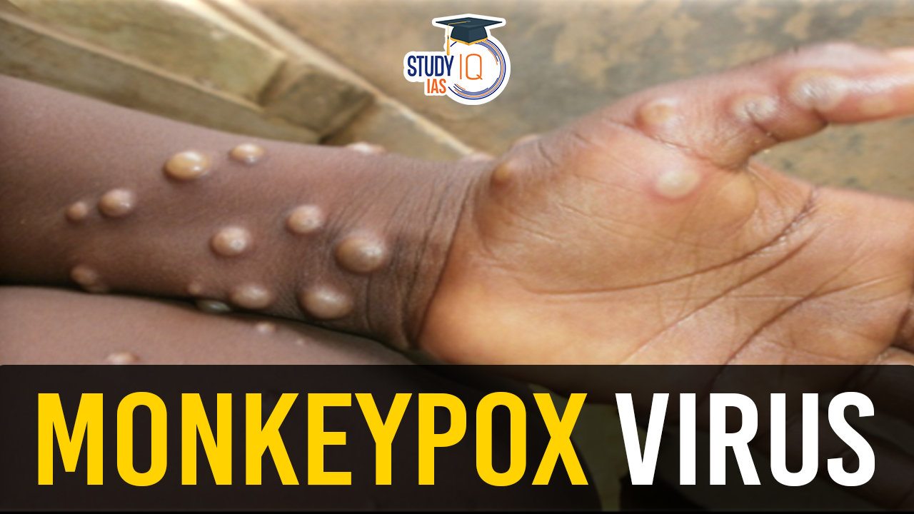 monkeypox virus