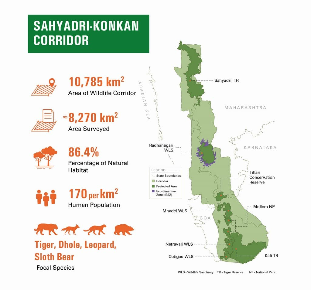 Sahyadri Tiger Reserve