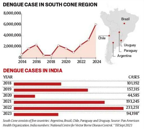 dengu cases