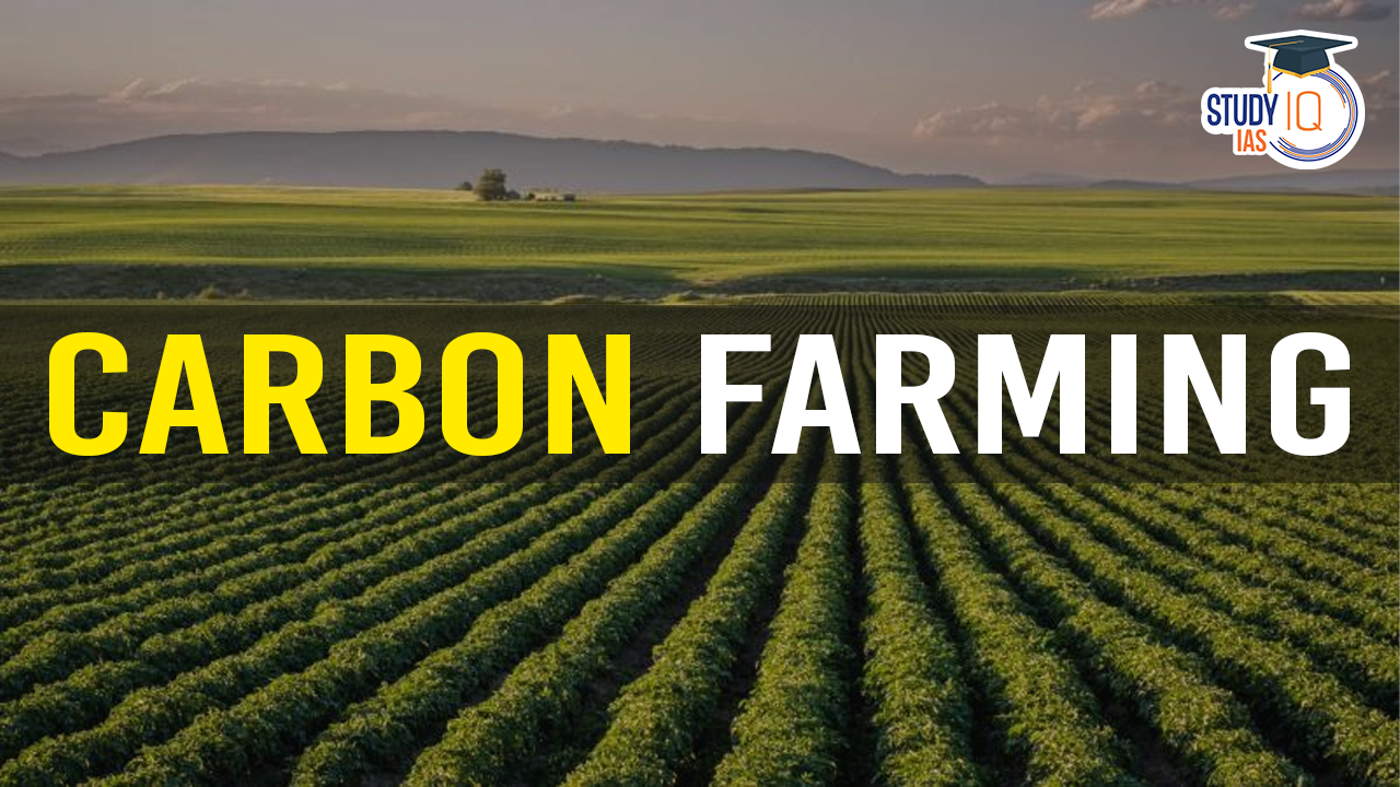 carbon farming