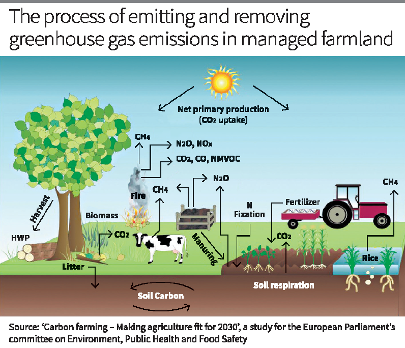 Carbon Farming