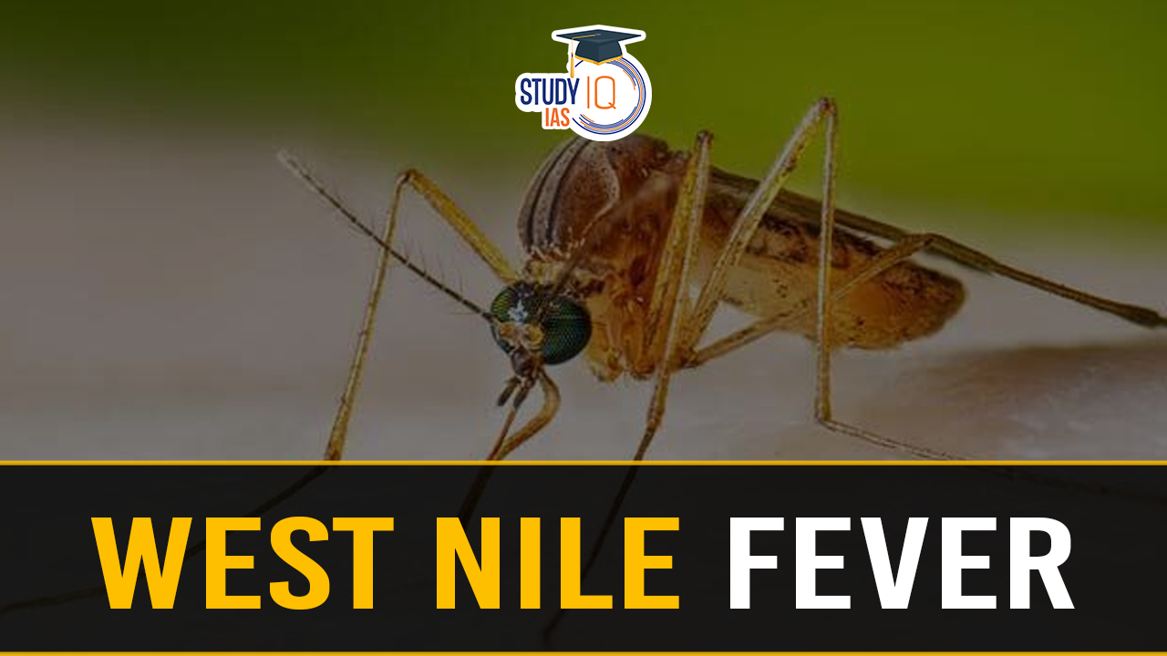 west nile fever