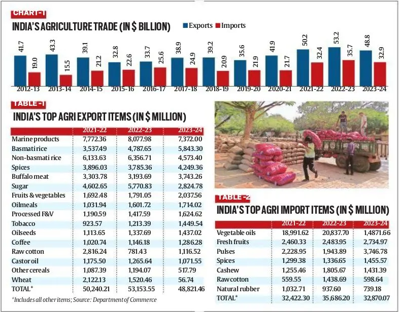 India's Agri Trade