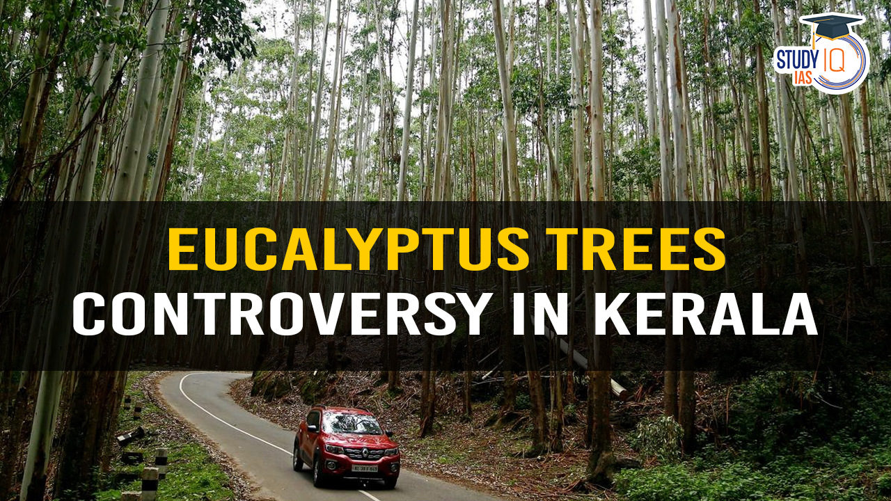 Eucalyptus Trees Controversy in Kerala (blog)