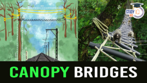 Canopy Bridges for Gibbons and Hoollongapar Gibbon Wildlife Sanctuary