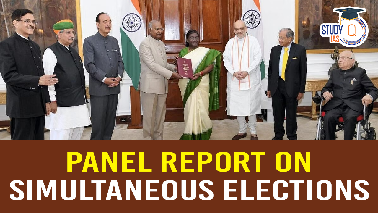 Panel Report on Simultaneous Elections