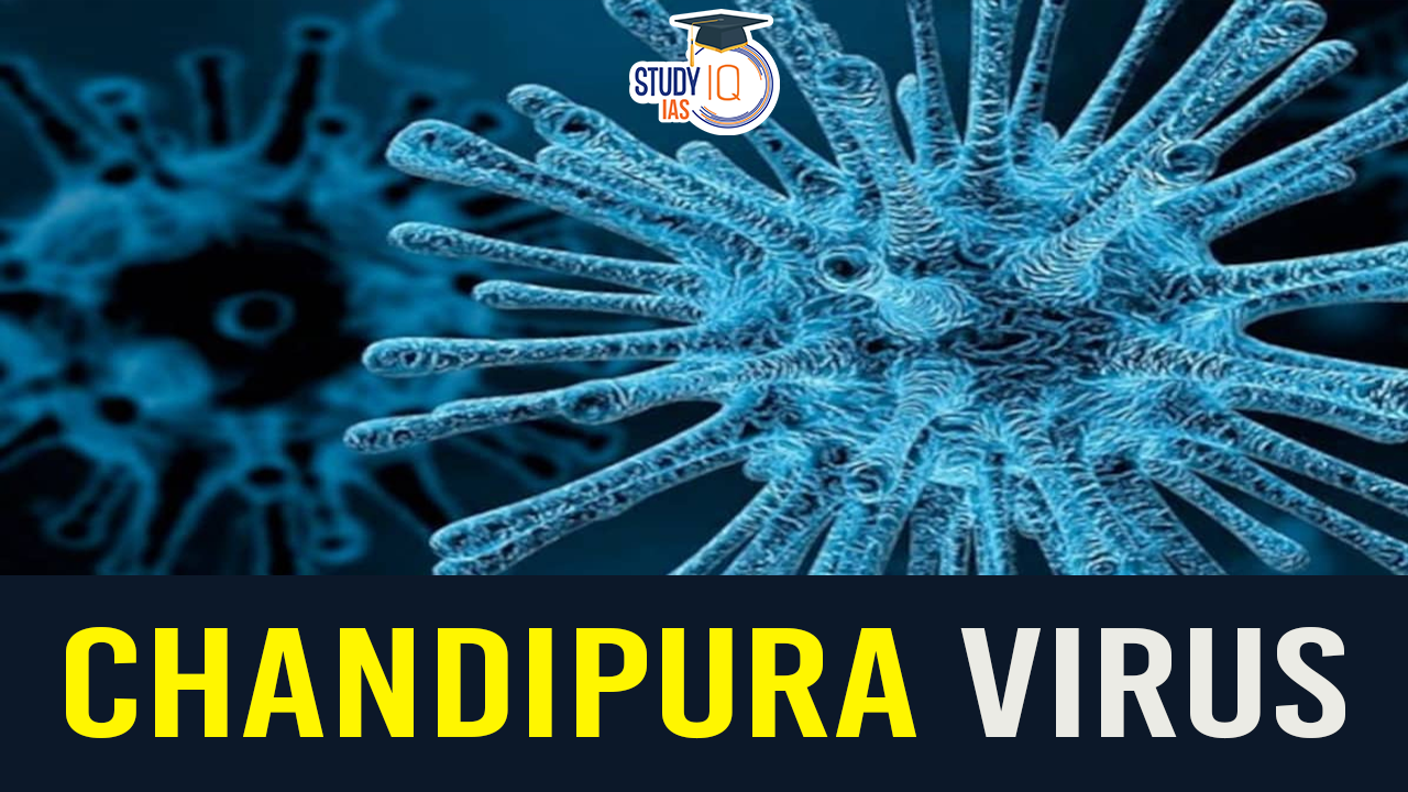 Chandipura Virus, Symptoms, Diagnosis and Treatment