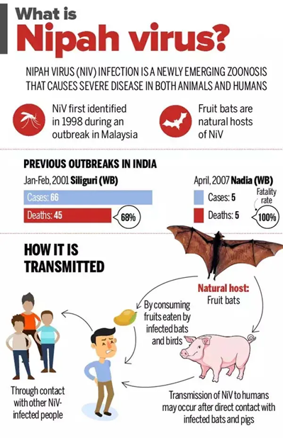 Nipah Virus outbreak in Kerala,Death Confirmed in Malappuram_4.1