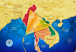 Instability In India's Neighbourhood Is A Concern, Says CDS_5.1