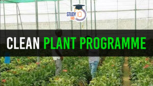 Clean Plant Programme (CPP), Features and Key Benefits