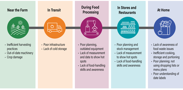 Reducing Food Wastage, Impact and Solutions_4.1