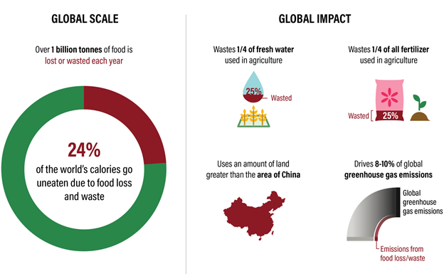 Reducing Food Wastage, Impact and Solutions_5.1