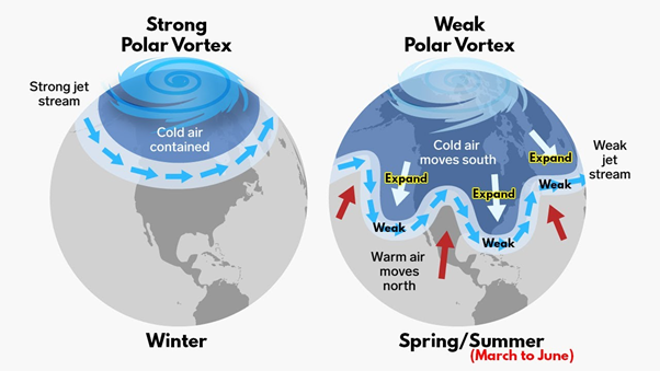 polar vortex1