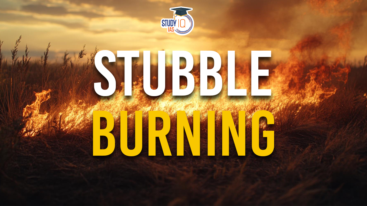 Stubble Burning, Causes and Impact