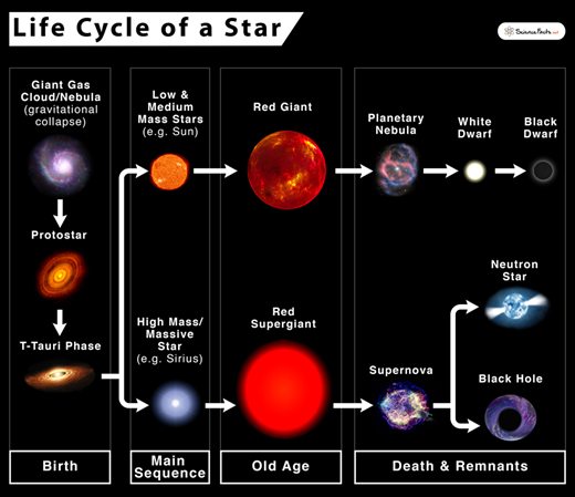 Brown Dwarfs_4.1