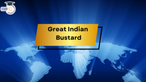 Great Indian Bustard (GIB)