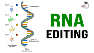 RNA Editing, Applications and Associated Challenges