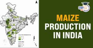 Maize Production in India