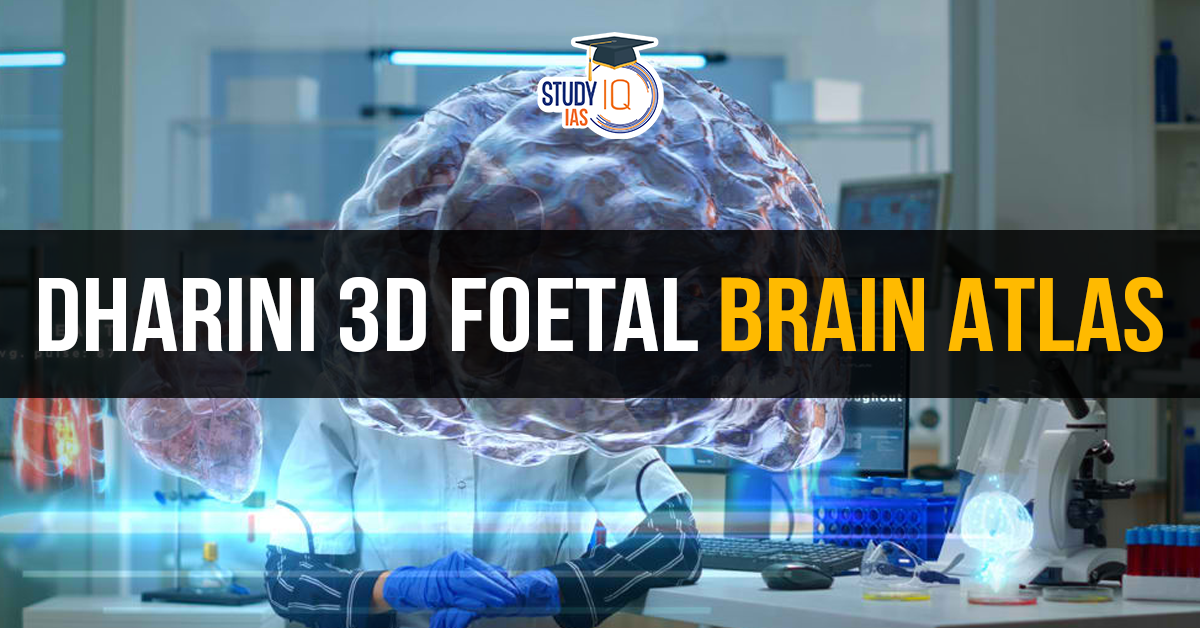 DHARINI 3D Foetal Brain Atlas (blog)