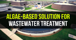 Algae-based solution for wastewater treatment (blog)