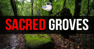 Sacred Groves (blog)