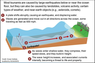 20th Anniversary of 2004 Indian Ocean Earthquake And Tsunami_4.1