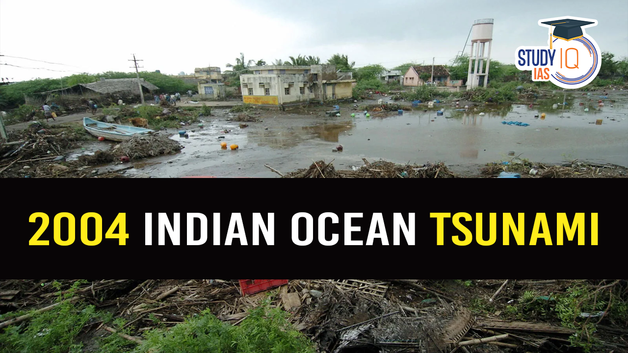 2004 Indian Ocean Tsunami (blog)