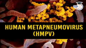 Human Metapneumovirus (HMPV) Cases in China